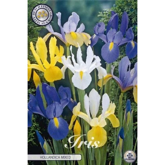 Iris Mixed 15-pakning