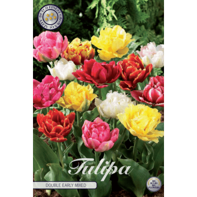 Tulipan Double Early Mixed 7-pakning