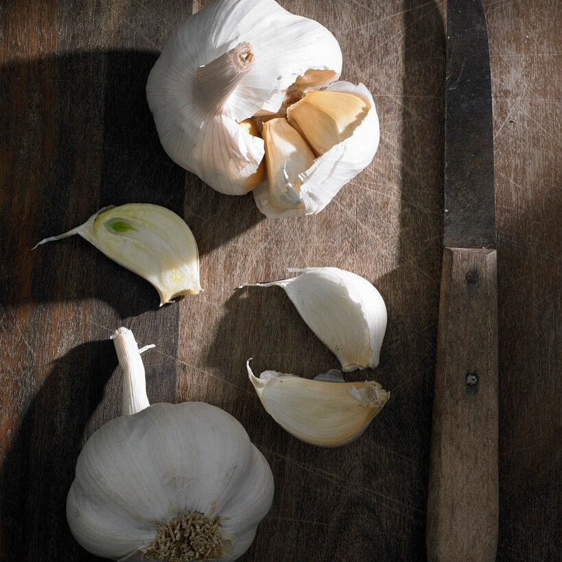 Hvitløk-Allium Sativum 2-pakning