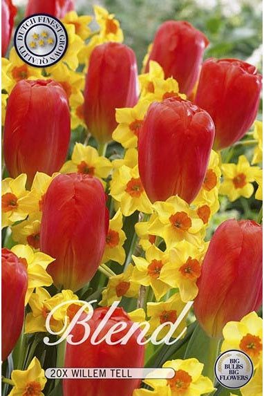 Tulipan/Narcissus Willem Tell 20-pakning