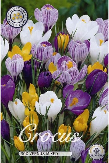 Crocus Mix 30-pakning