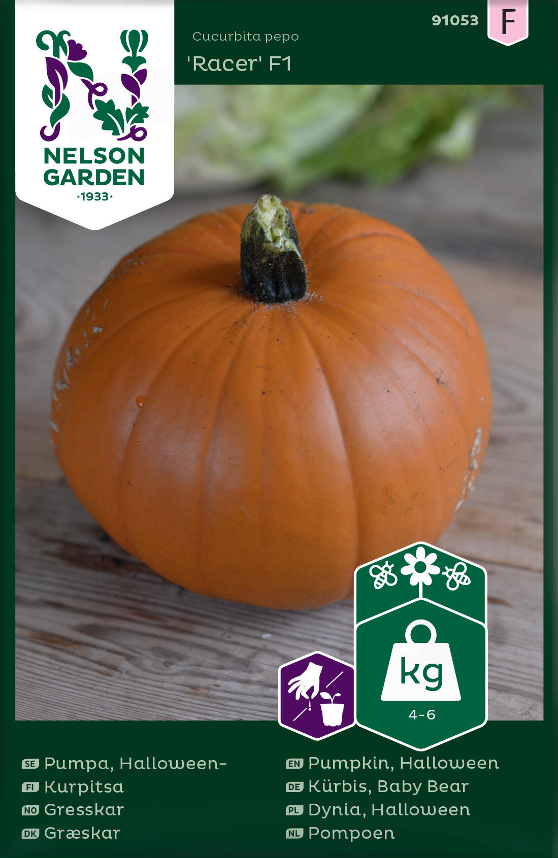 Pumpkin 'Racer' F1