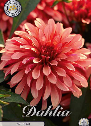 Dahlia Gallerie Art Deco 1-pakning