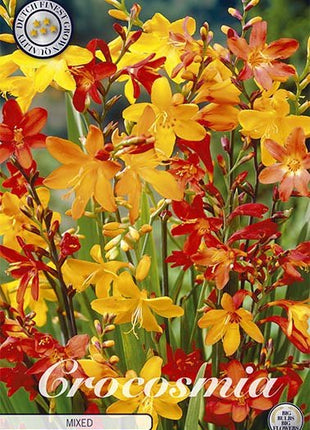 Montbretia-Crocosmia Blandet 15-pakning