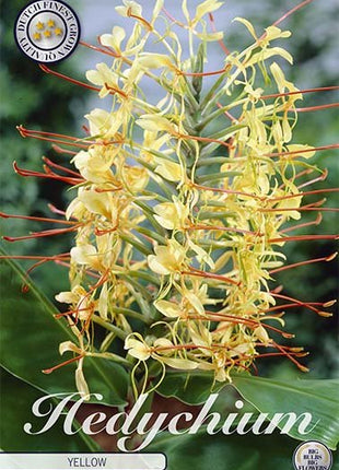 Hedychicum Gul 1-pakning