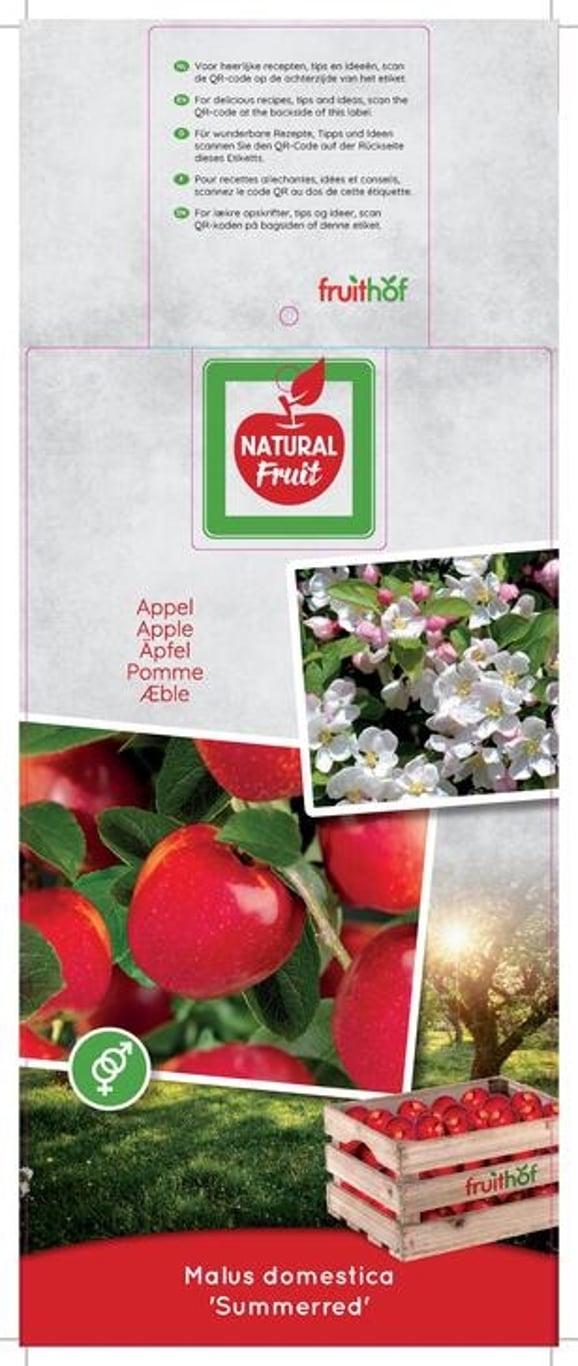 Malus d. 'Summerred' - C12 250-275 CM Hoogstam