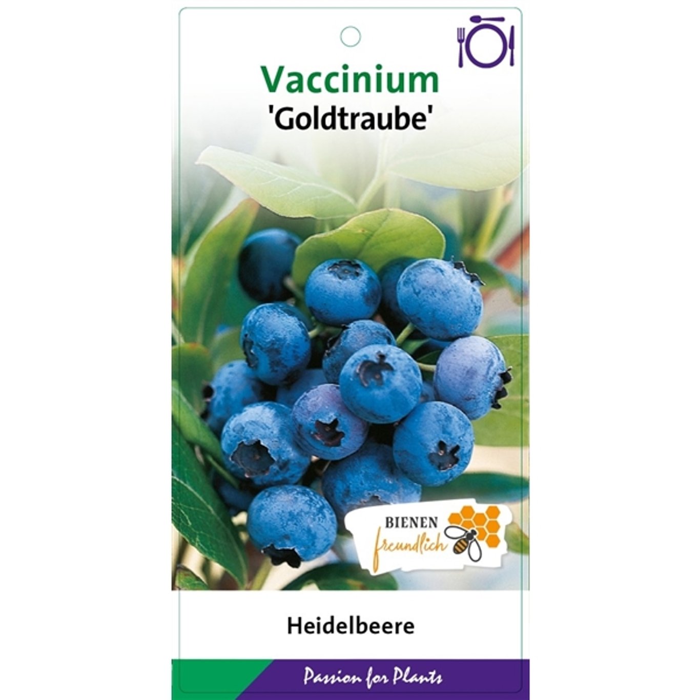 Vaccinium c. 'Goldtraube 23' - C5 40-60 CM