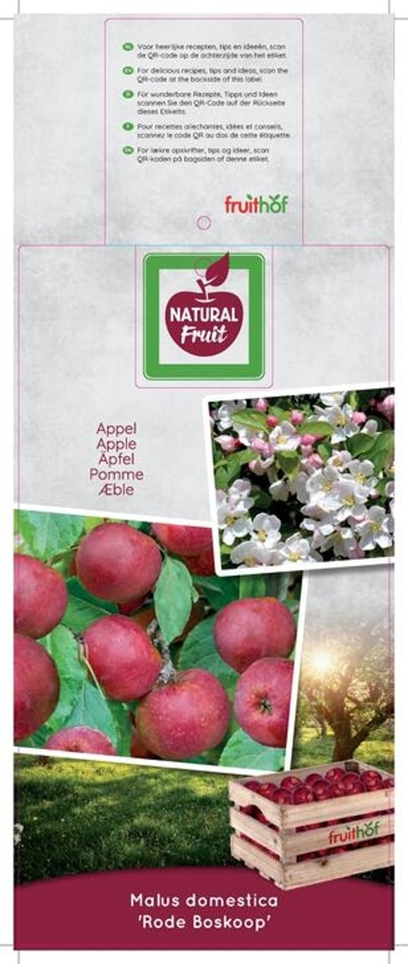 Malus d. 'Rode Boskoop' - C7,5 175-225 CM Halfstem