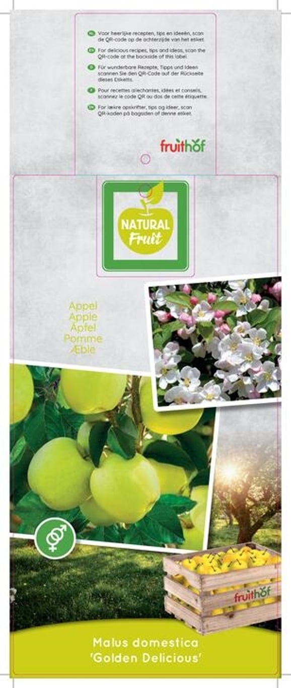 Malus d. 'Golden Delicious' - C12 250-275 CM Hoogstam