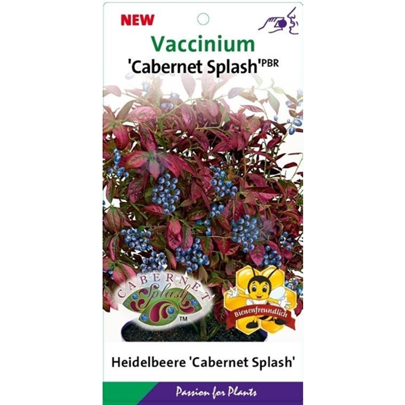 Vaccinium c. 'Cabernet Splash' - C3 25-30 CM