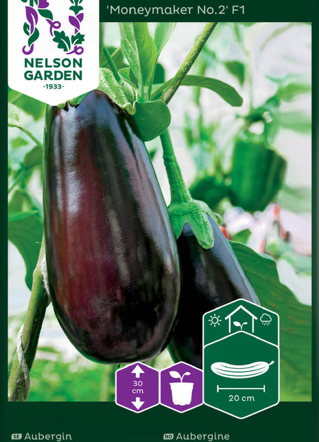 Aubergine, 'Moneymaker No.2' F1
