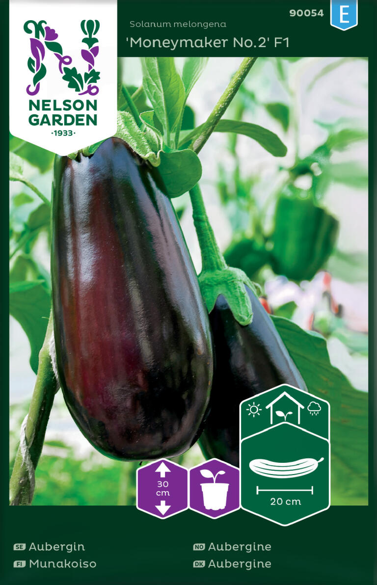 Aubergine, 'Moneymaker No.2' F1