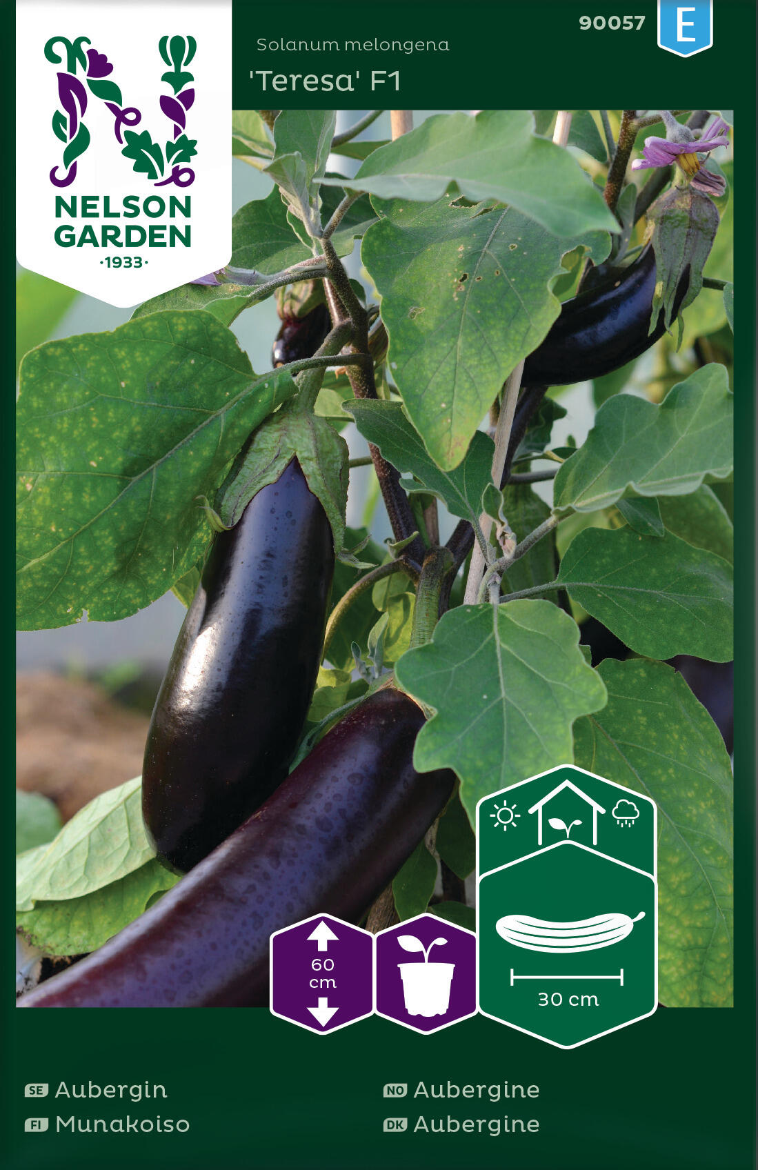 Aubergine 'Teresa' F1