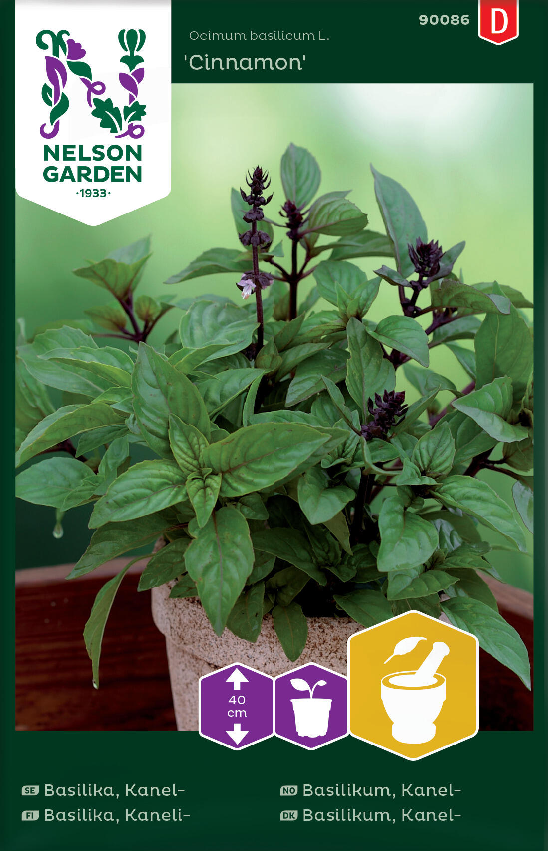 Cinnamon Basil 'Cinnamon'