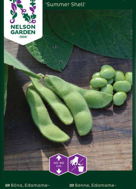 Edamame Bean 'Summer Shell'