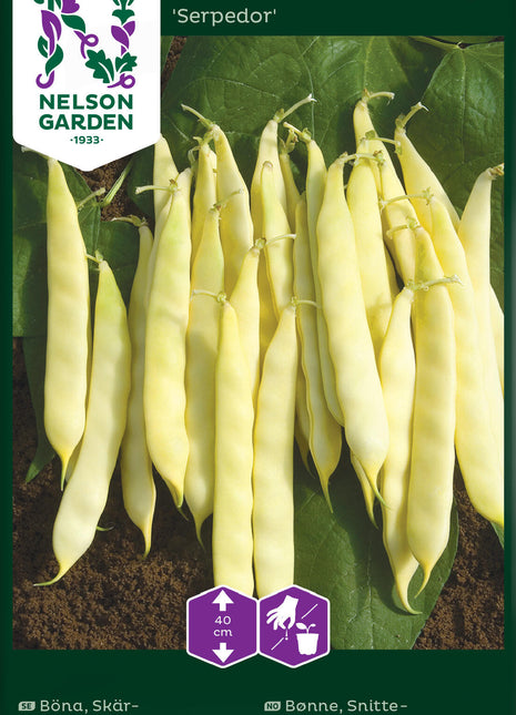 Bean 'Serpedor'