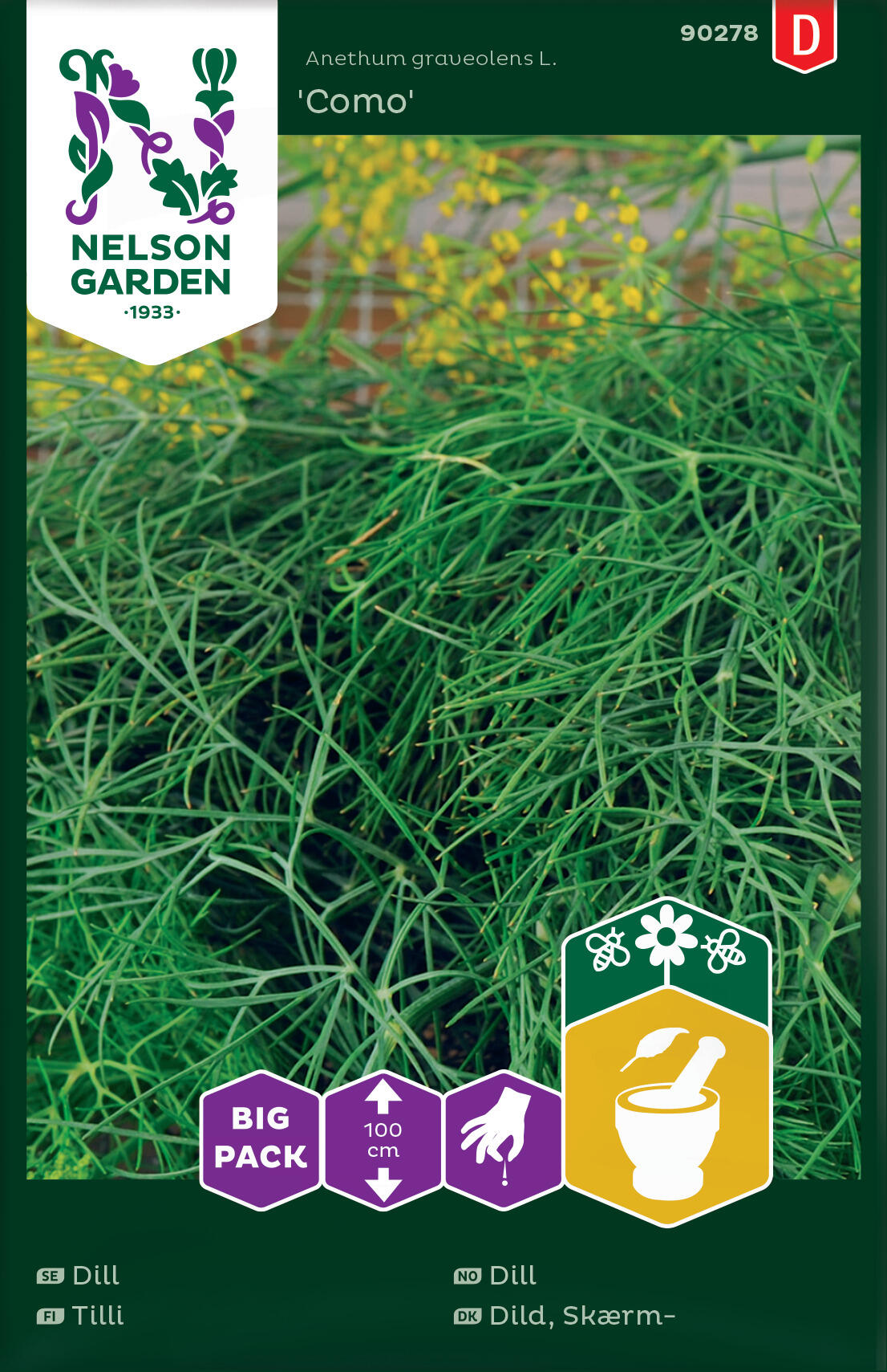 Dill 'Como'
