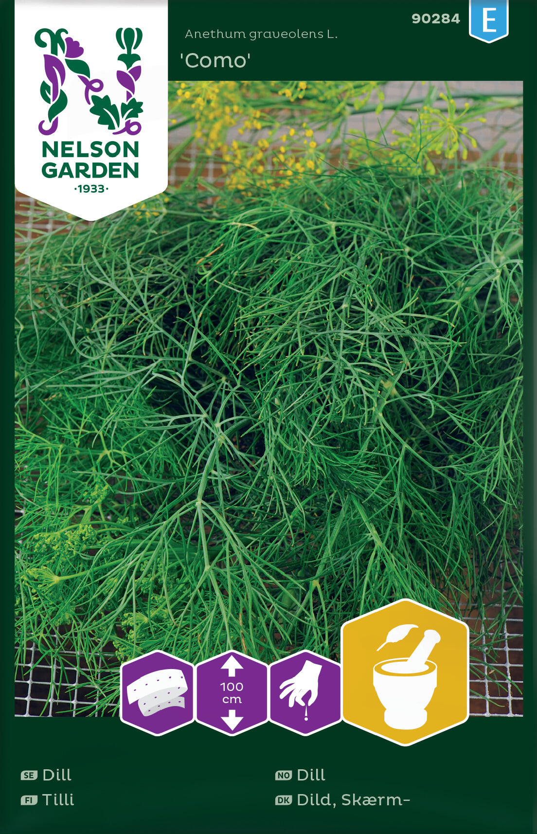 Dill 'Como'