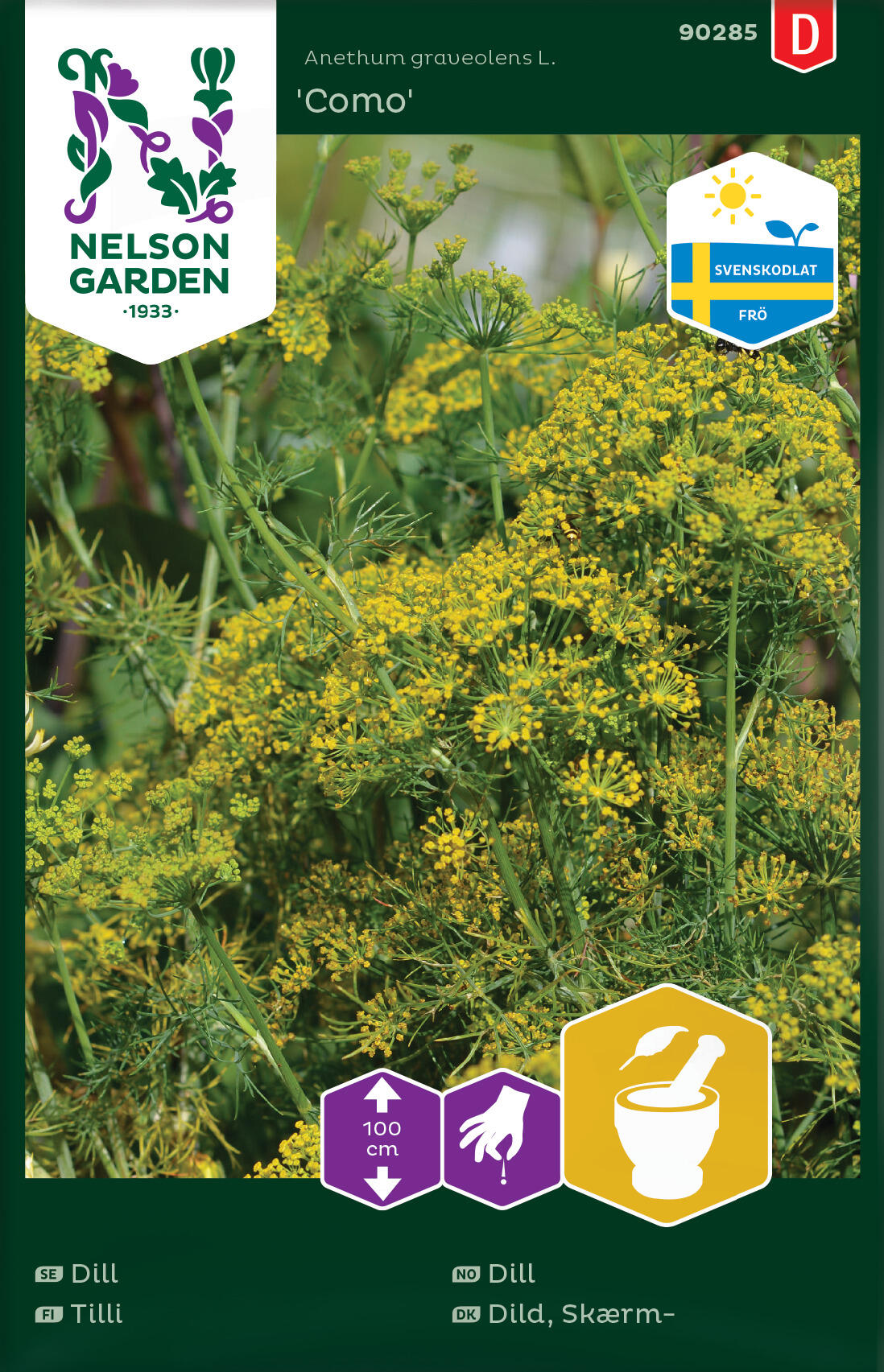 Dill 'Como'