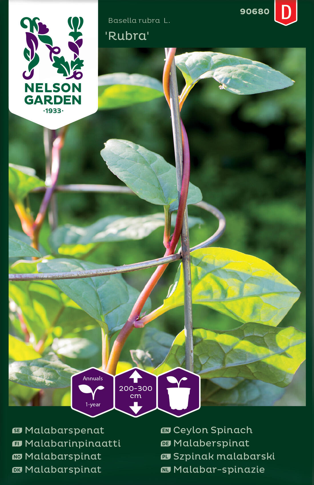 Malabar spenat 'Rubra'