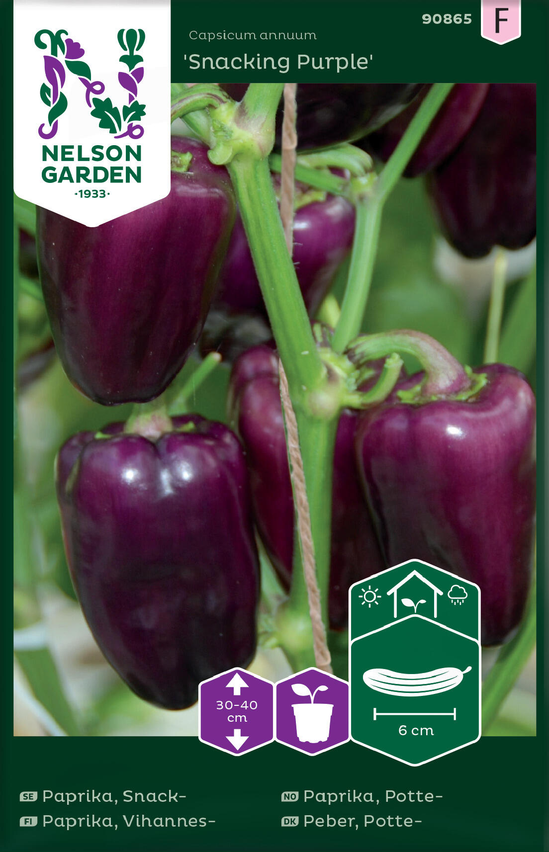 Pott paprika 'Snacking Purple'