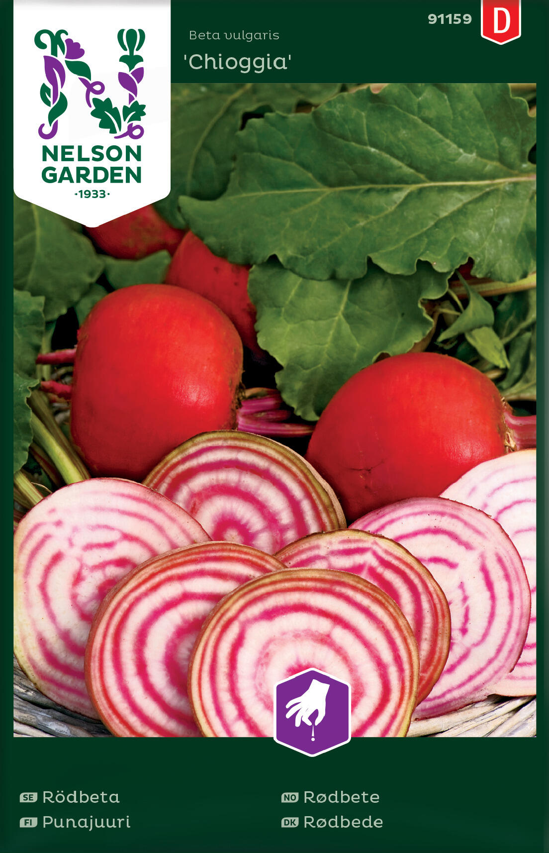 Rödbetor 'Chioggia' runda