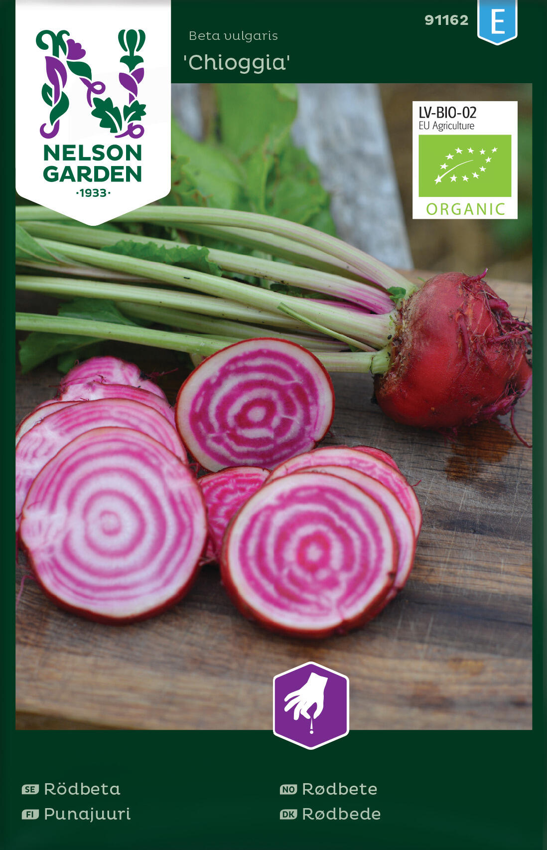 Rödbetor 'Chioggia'