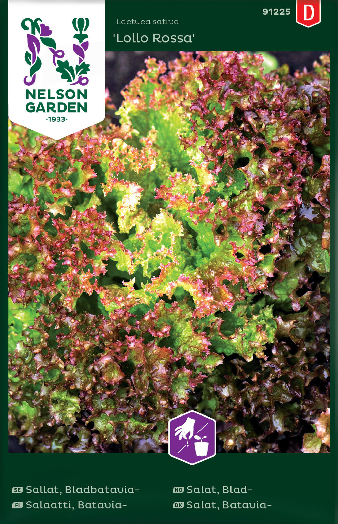 Bladsallat 'Lollo Rossa'