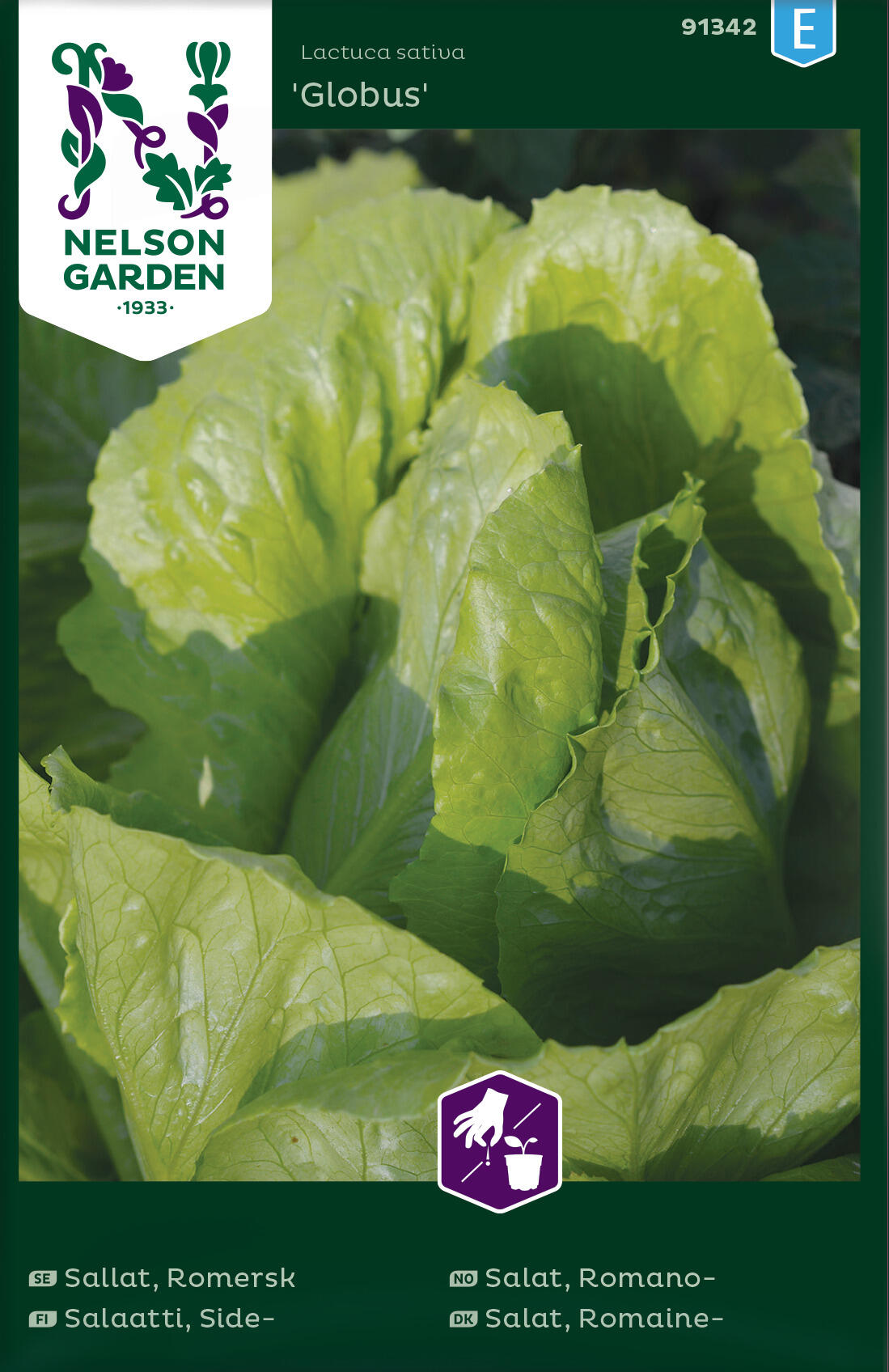 Romainesallat 'Globus'