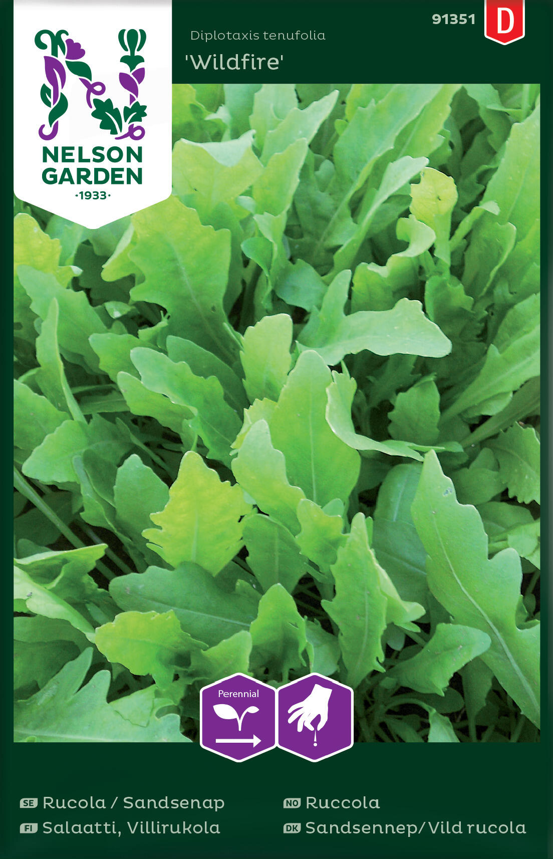 Ruccola "Wildfire"