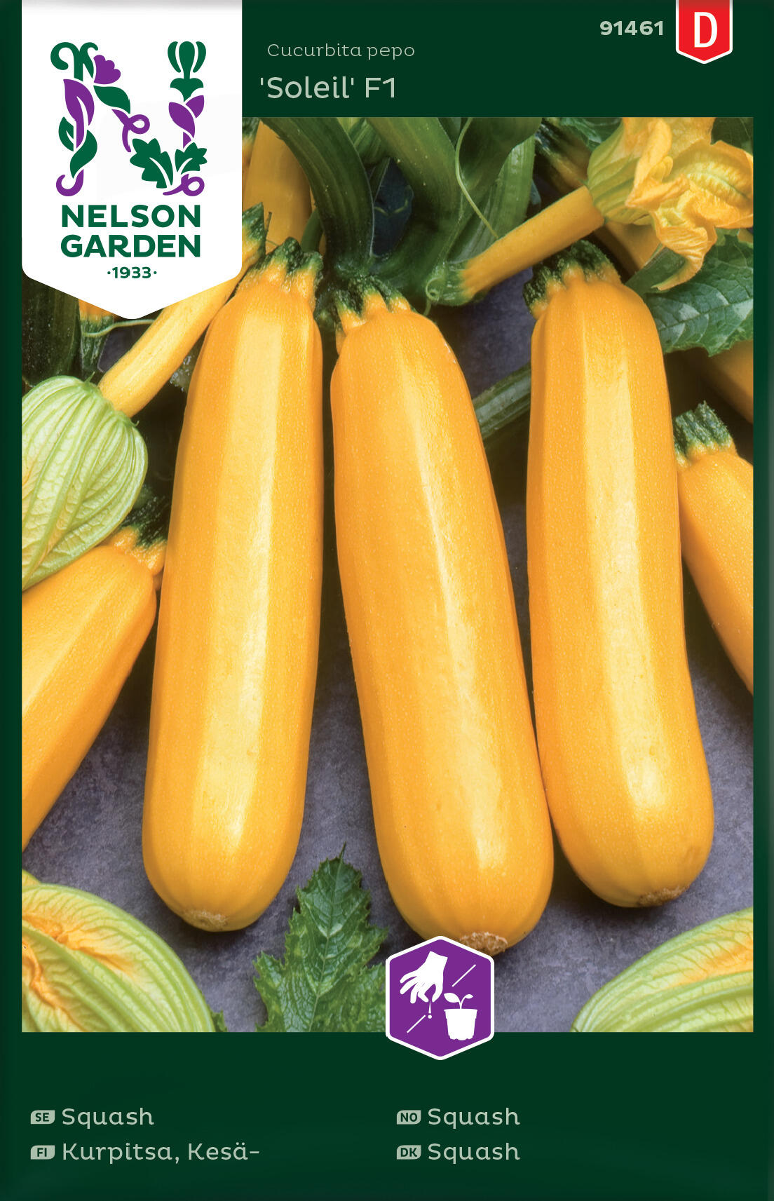 Squash 'Soleil' F1