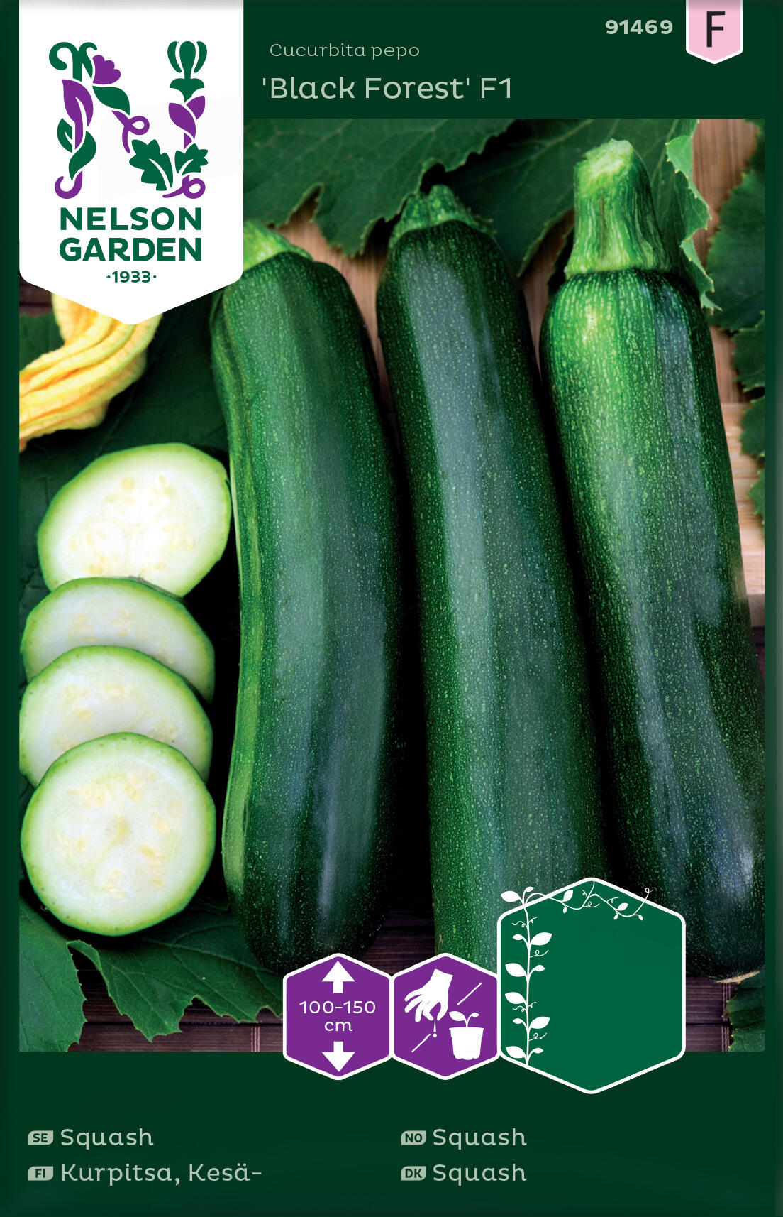 Sling squash 'Black Forest' F1