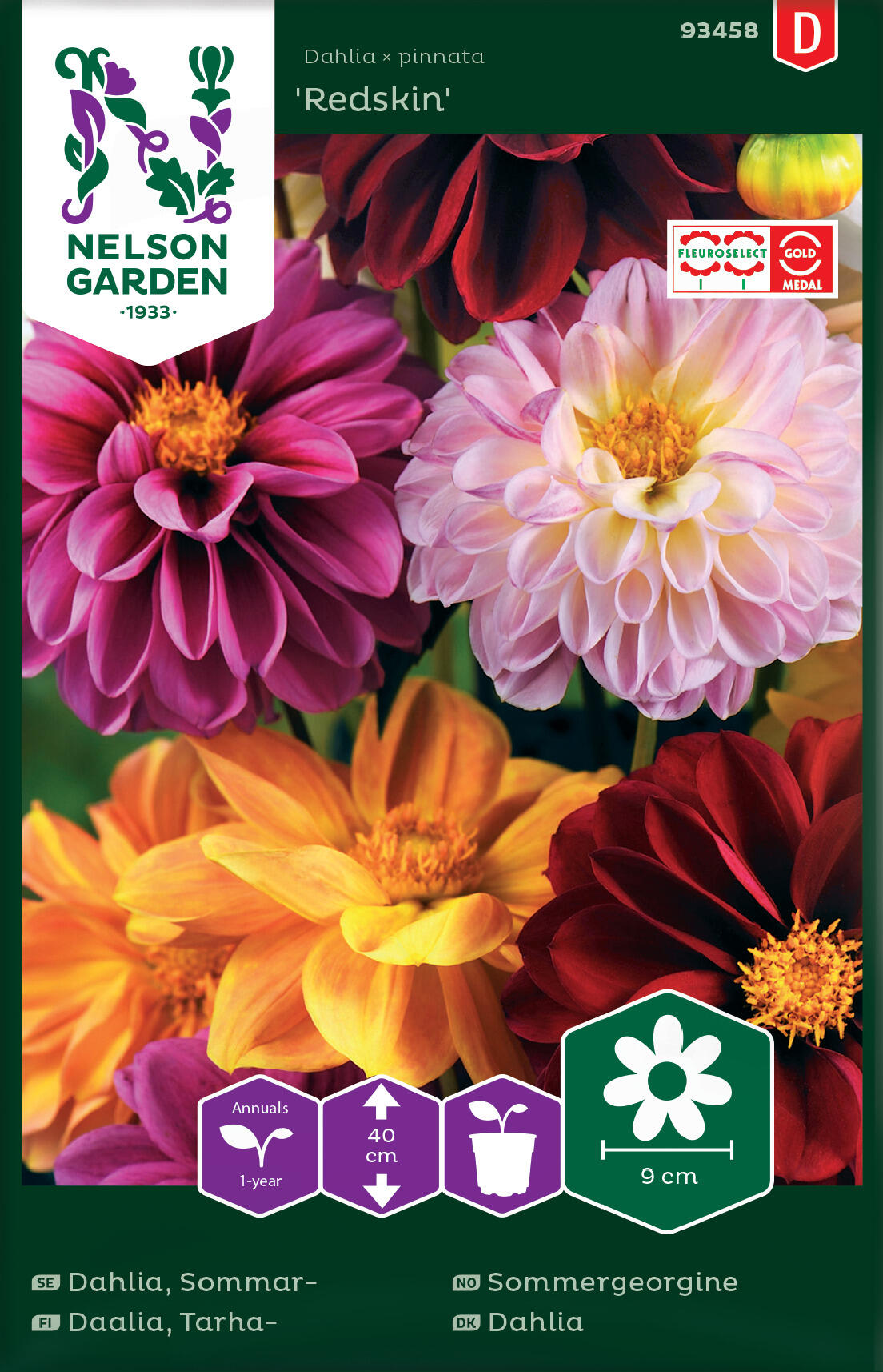 Summer Dahlia 'Redskin'