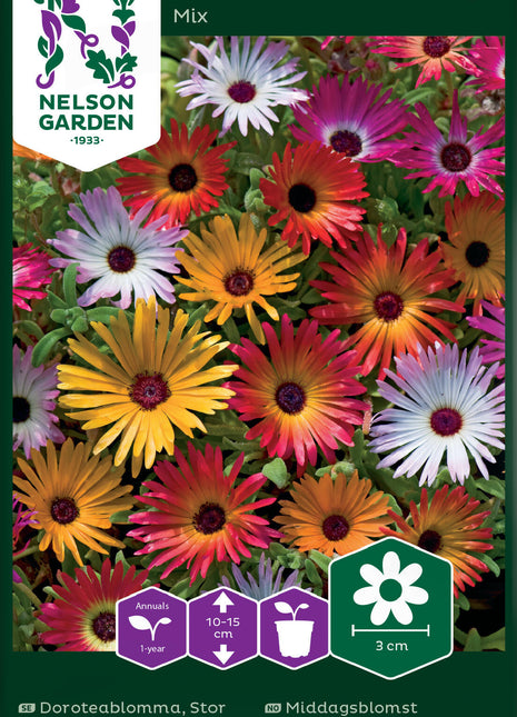 Middag Blomma Mix