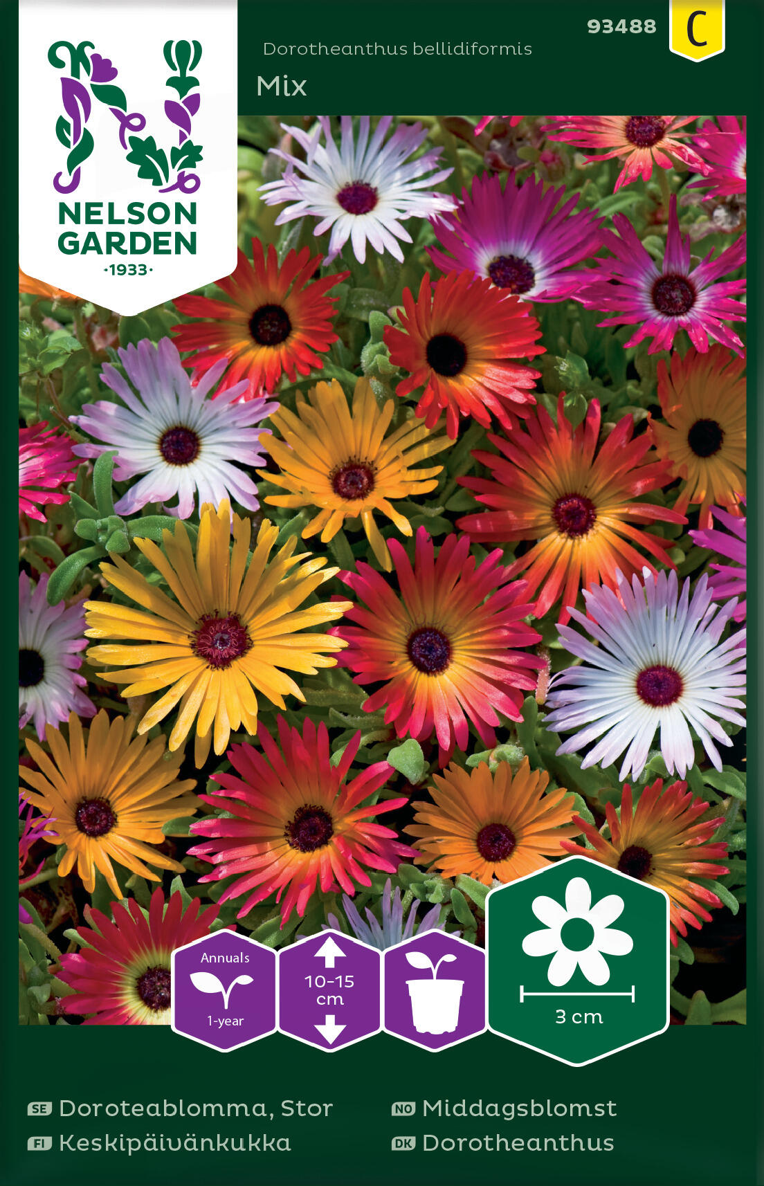 Middag Blomma Mix