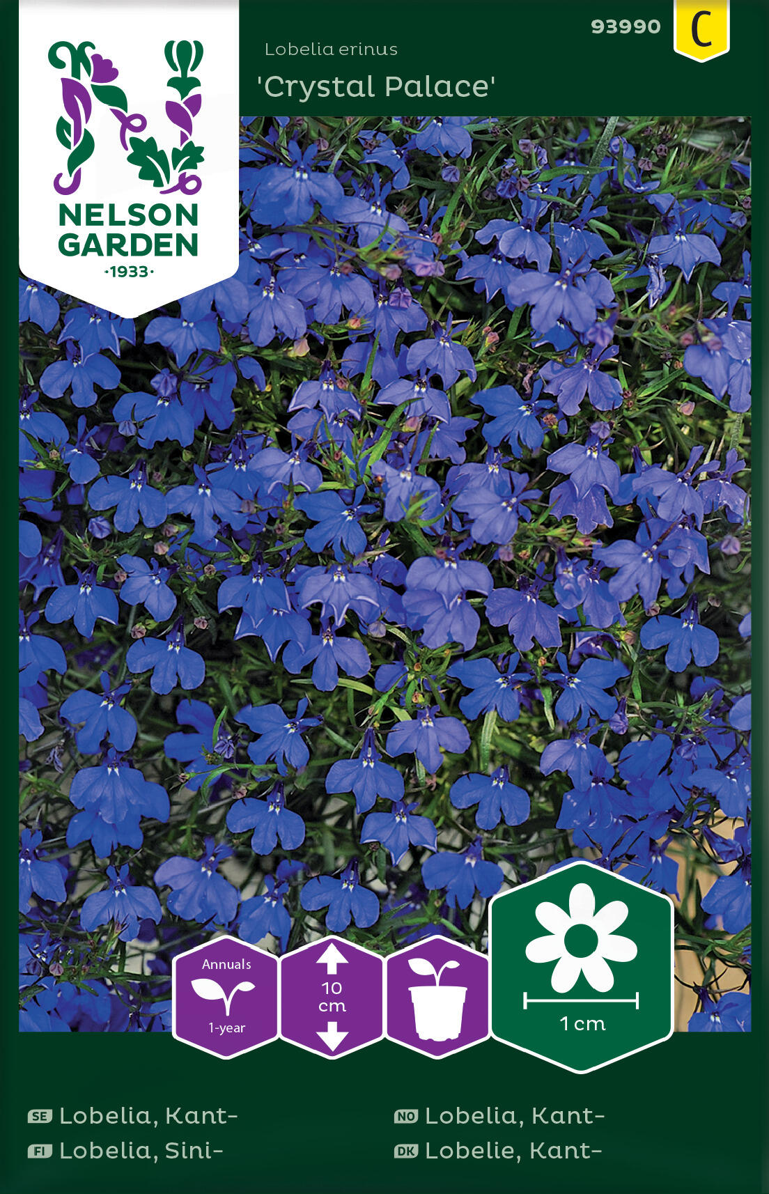 Kantolobelia "Crystal Palace"