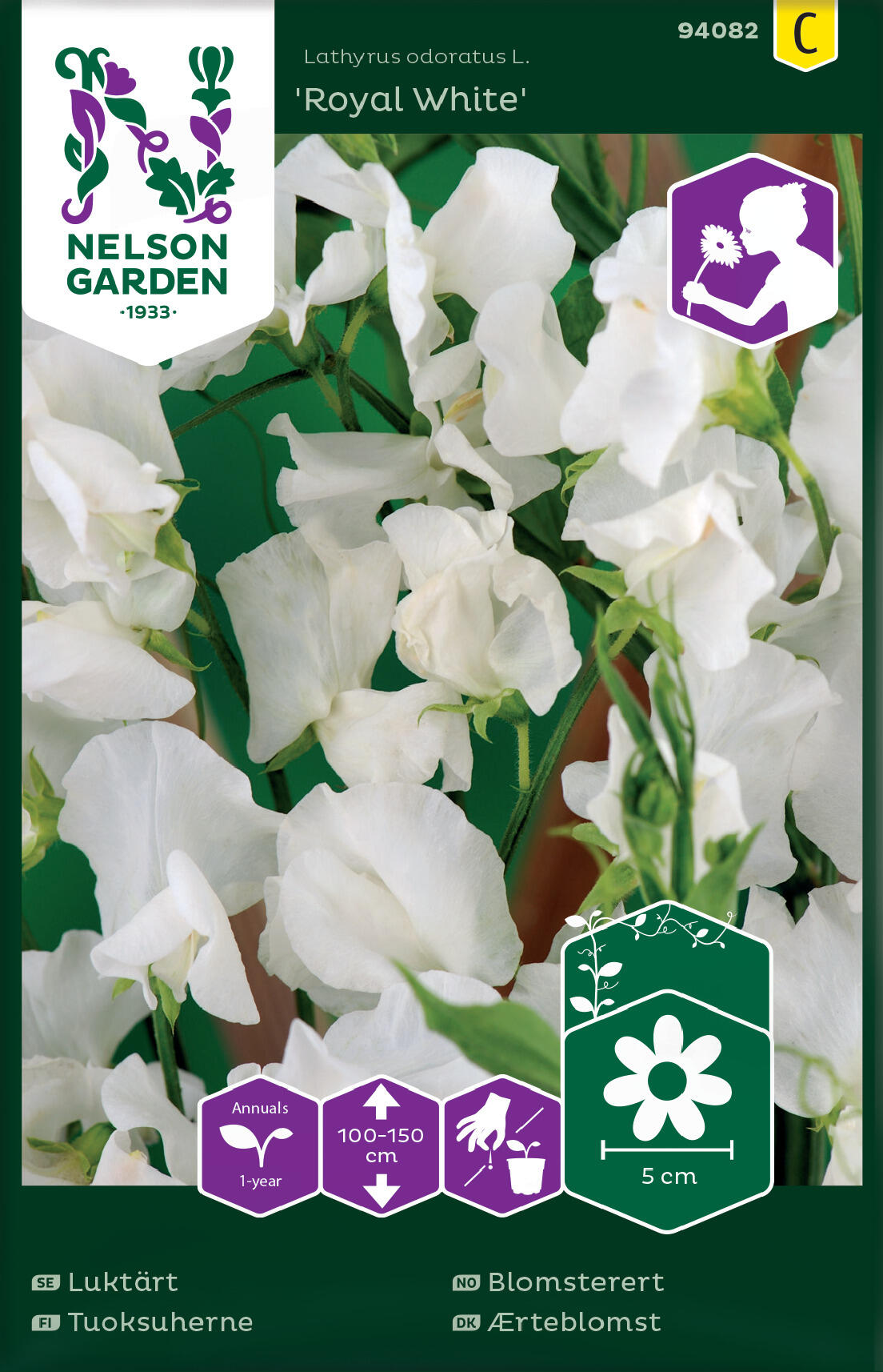 Blomärt 'Royal White'
