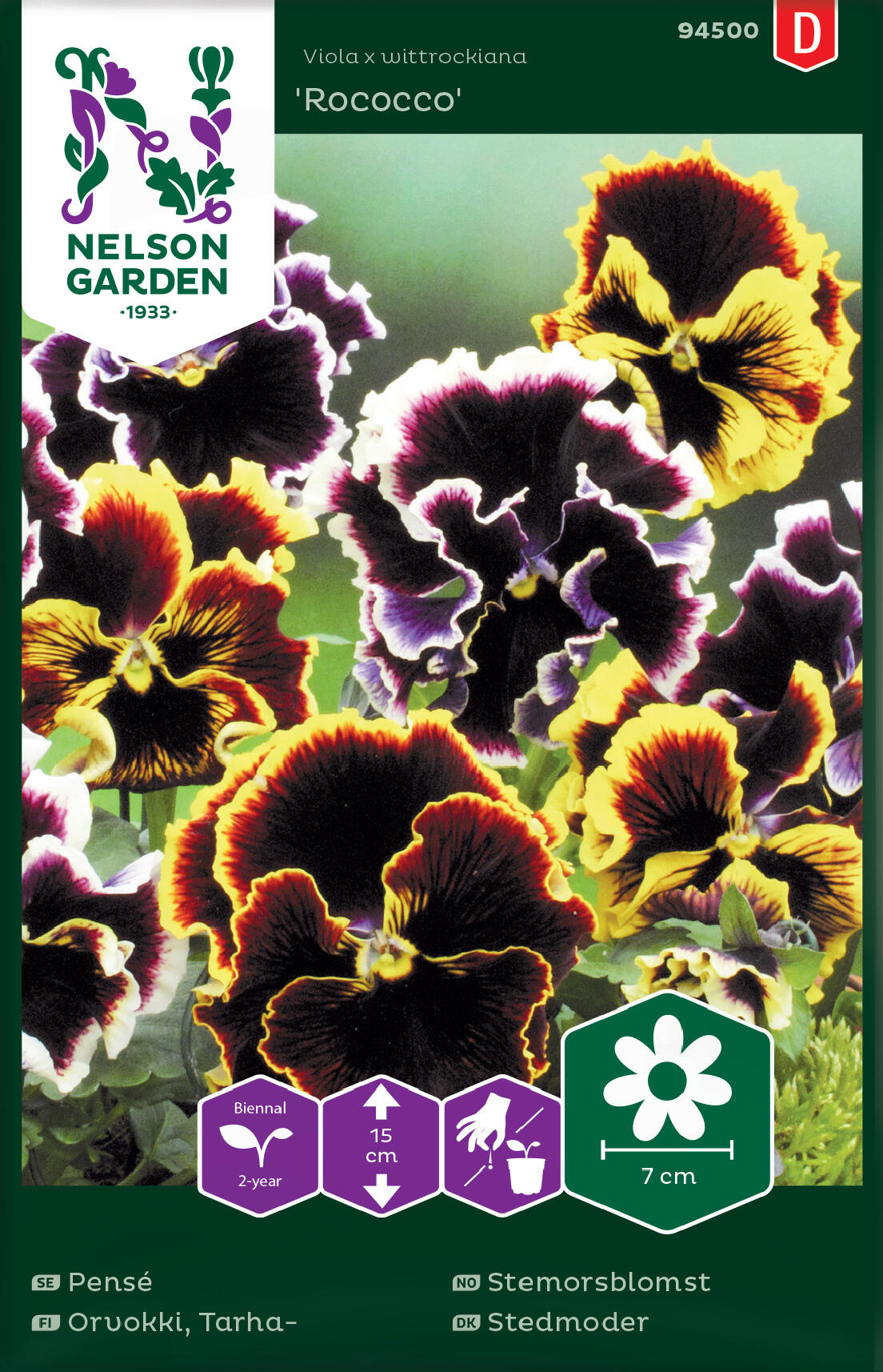Pansy 'Rococco'