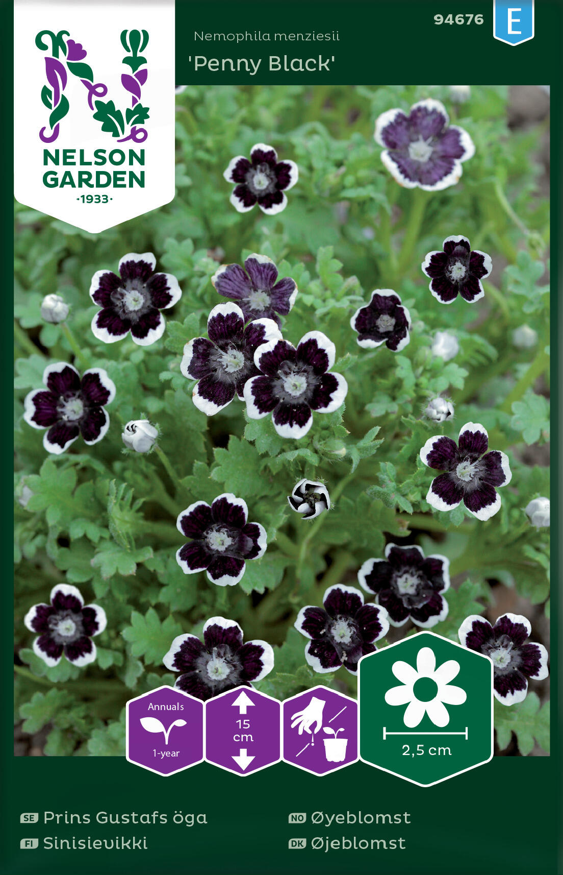 Ögonblomma 'Penny Black'