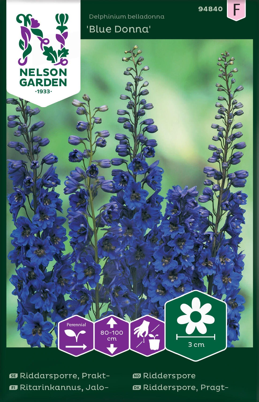 Knight's Spur 'Blue Donna'