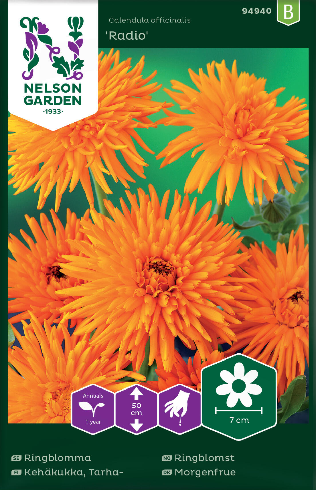 Calendula "Radio"