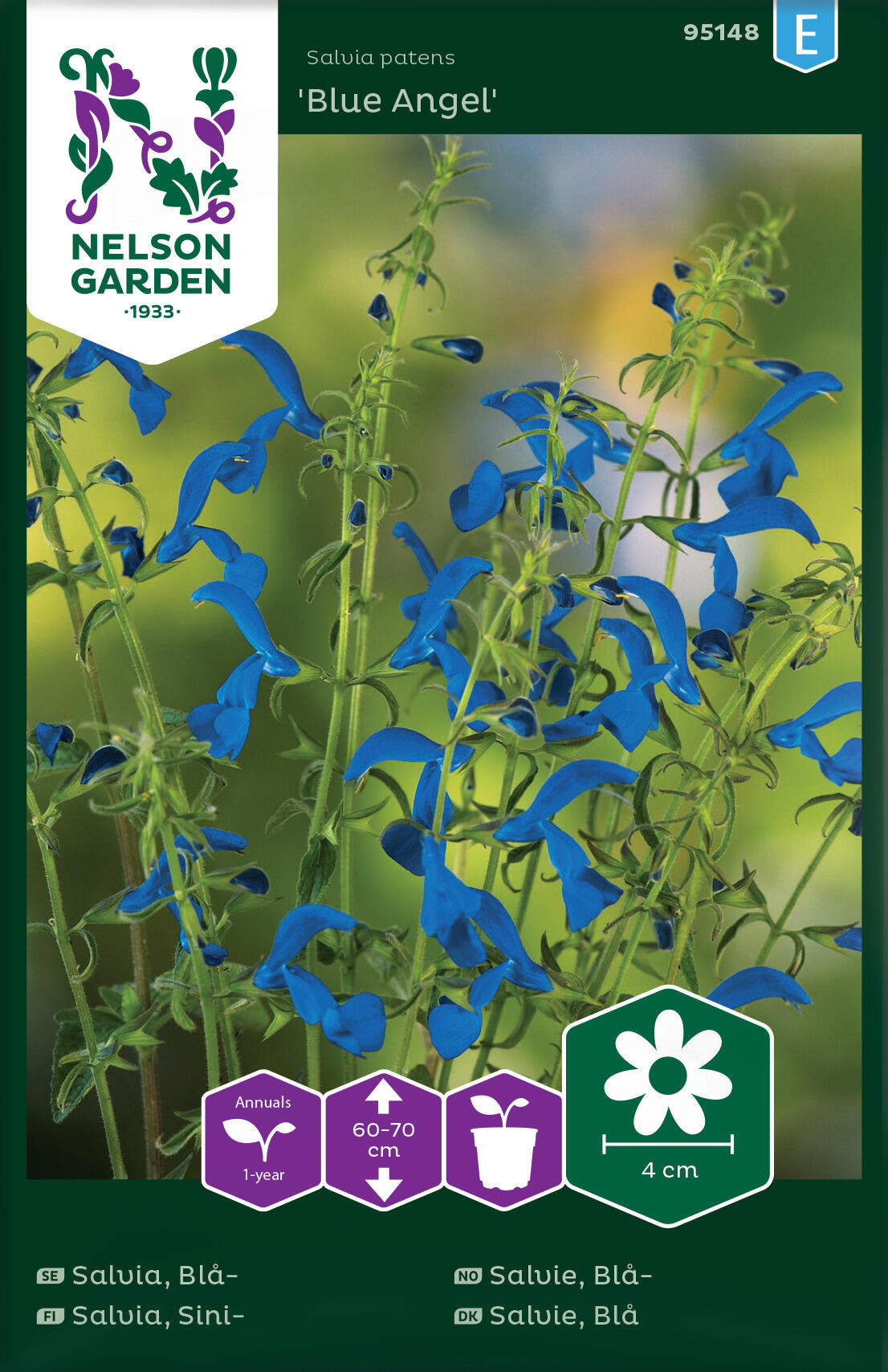 Blå salvia 'Blue Angel'