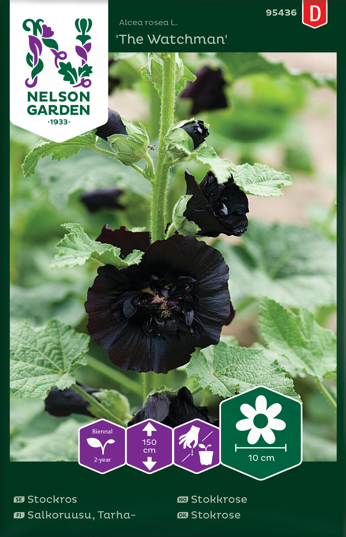 Hollyhock "The Watchman"