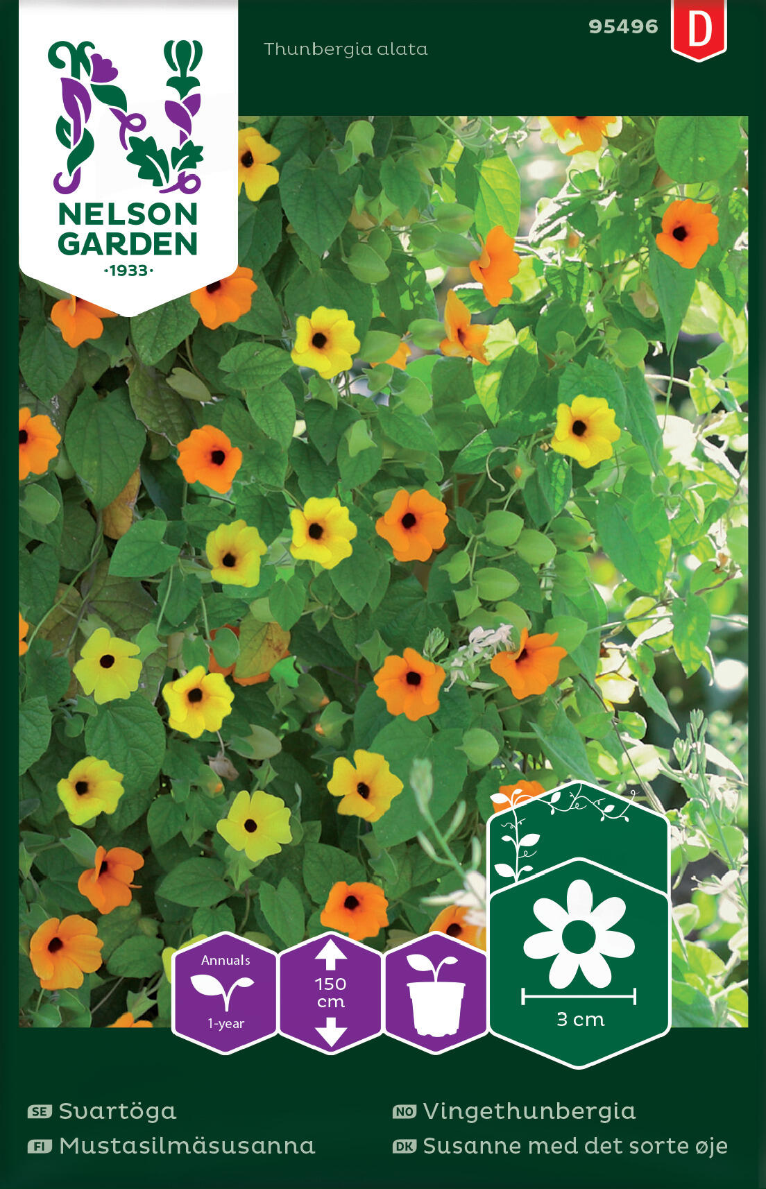 Vingethunbergia