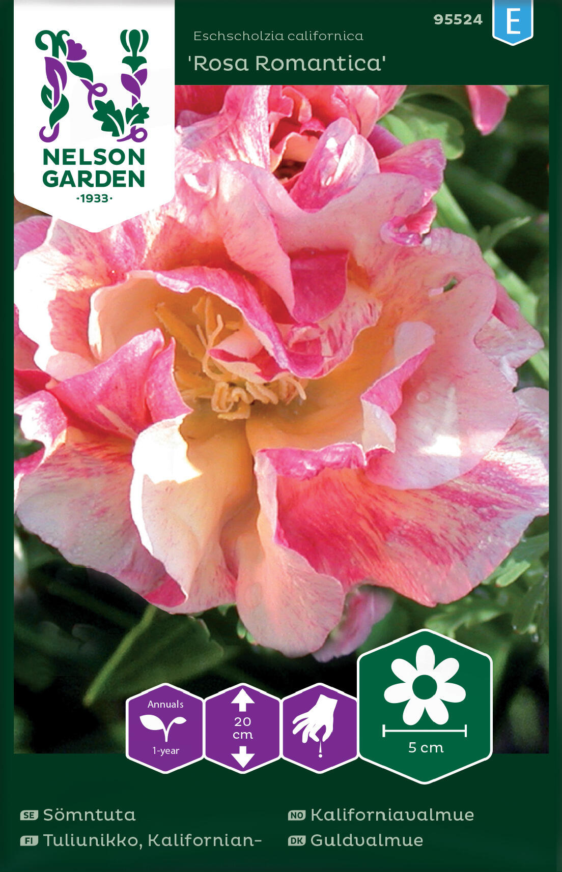 California Poppy 'Rosa Romantica'