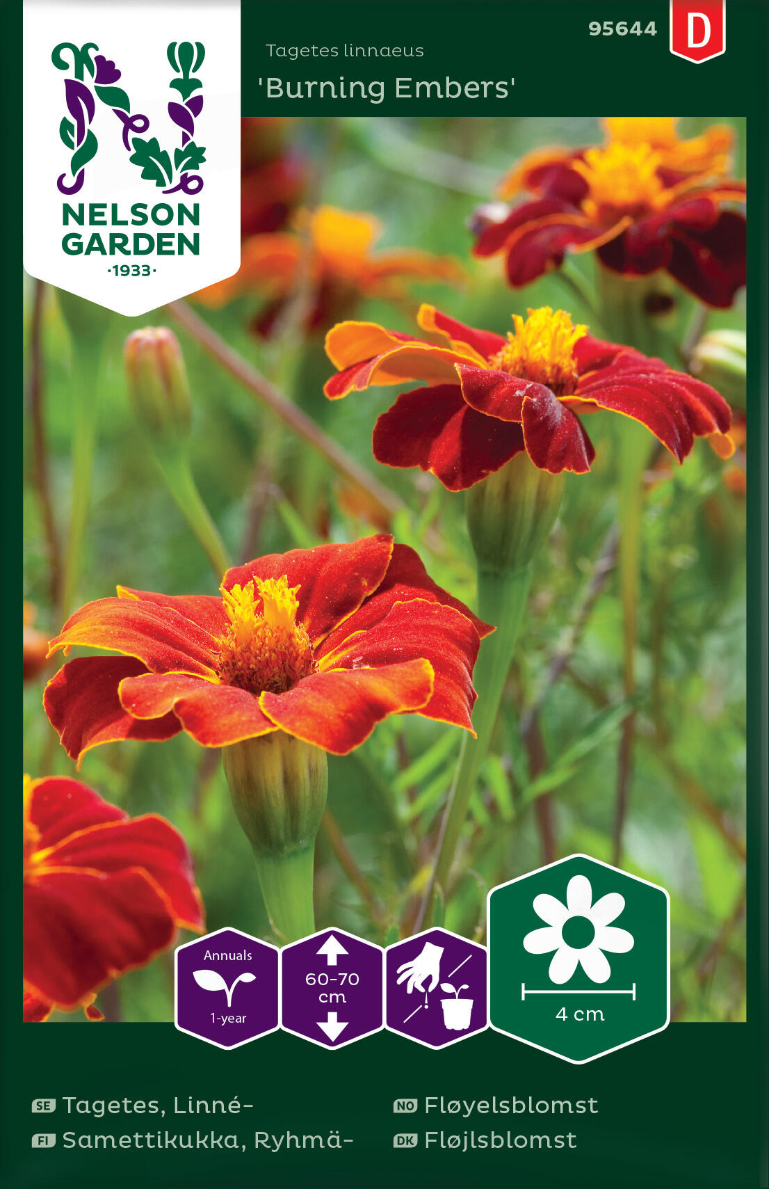 Sammetsblomma 'Burning Embers'