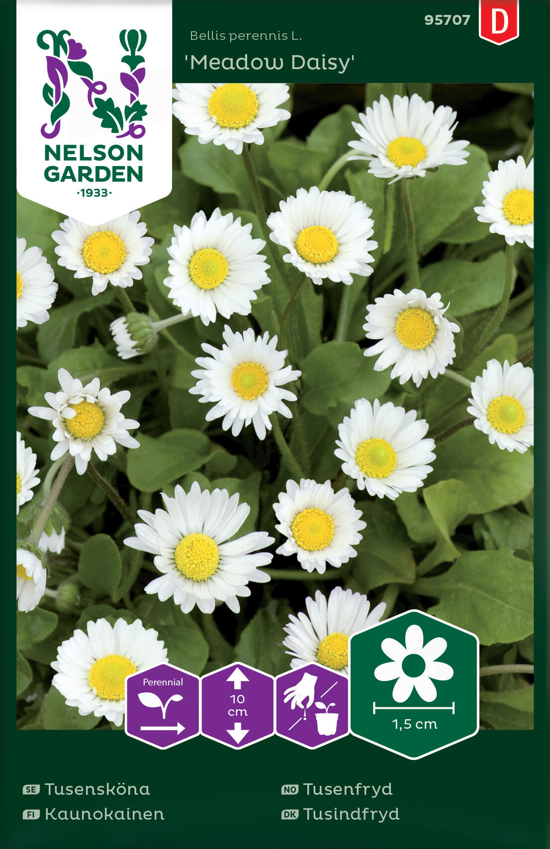 Daisy "Meadow Daisy"
