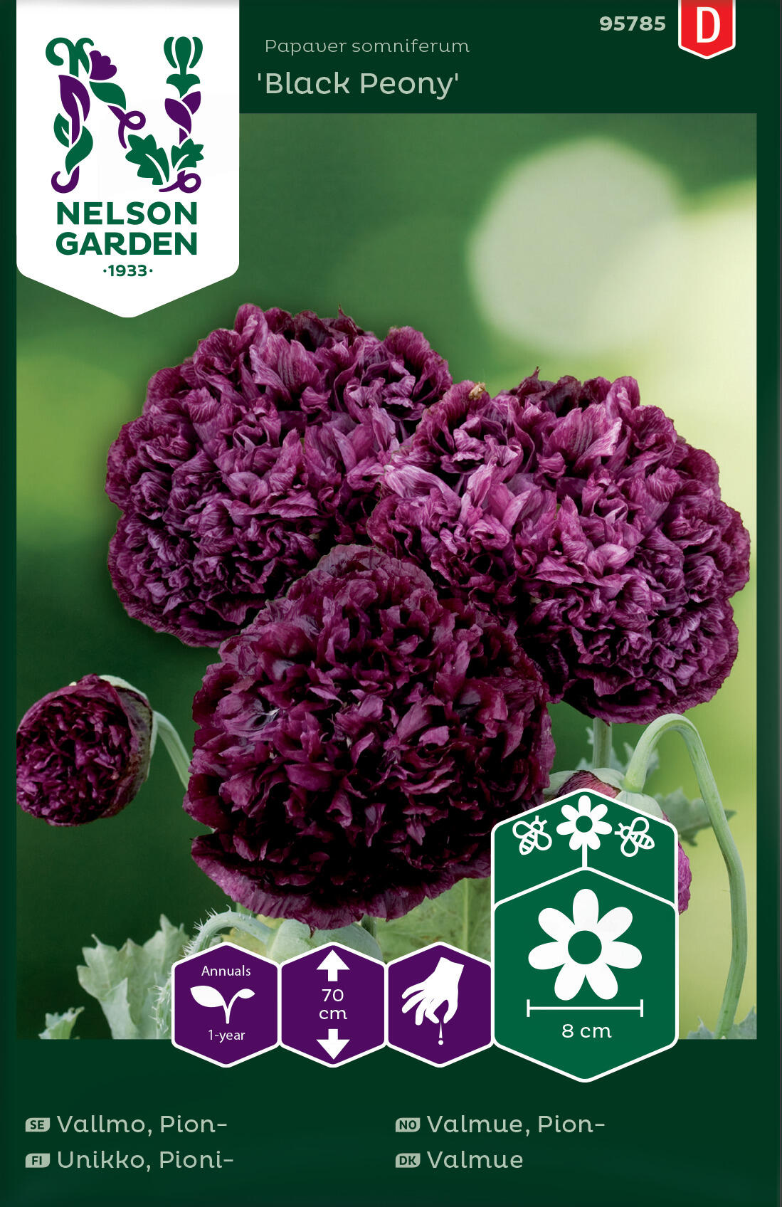 Pion 'Black Peony'