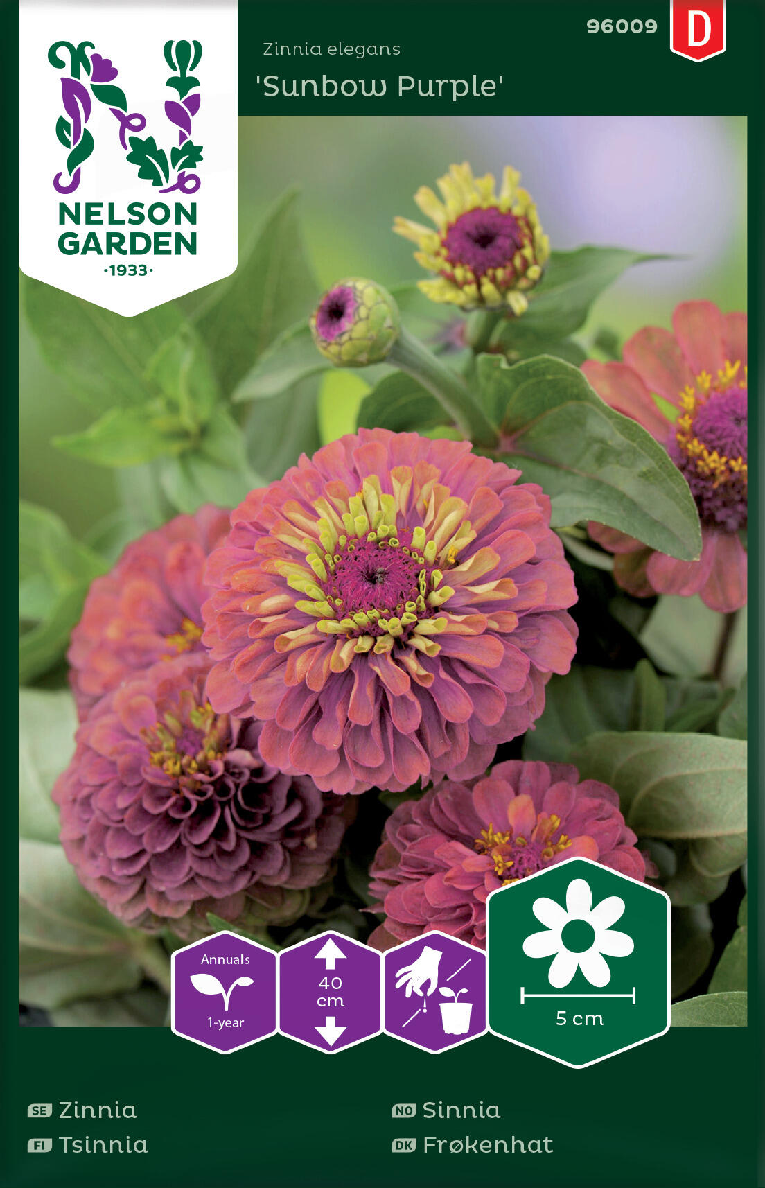 Zinnia 'Sunbow Purple'