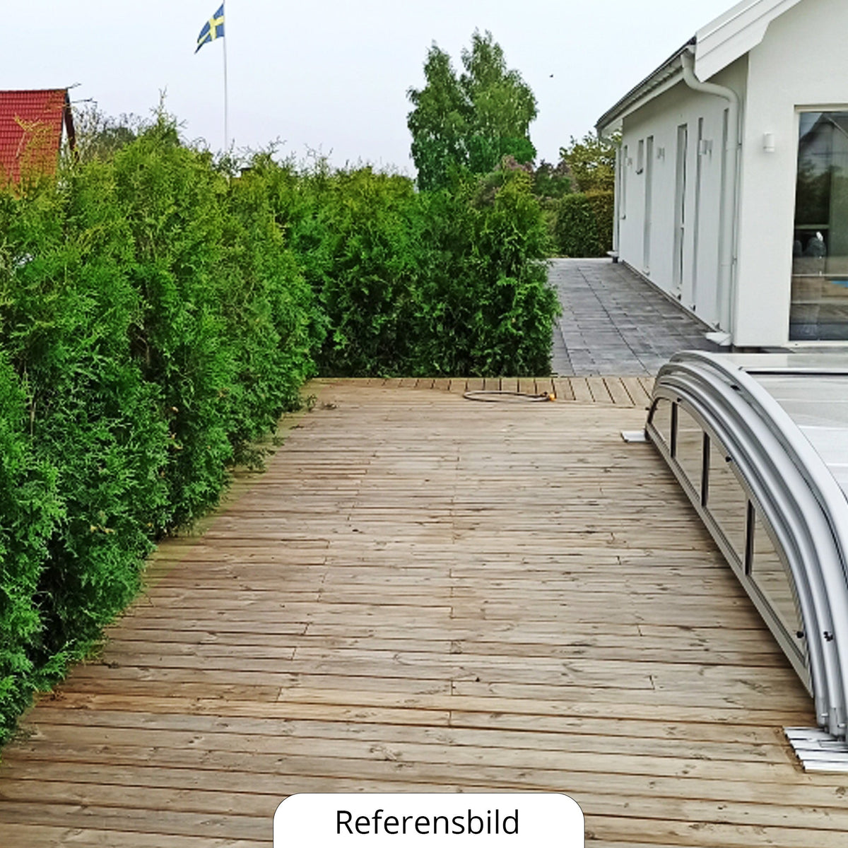 Thuja Brabant, 140-160+ cm, Pottedyrket 10 L, Kvalitet: Kvalitet A